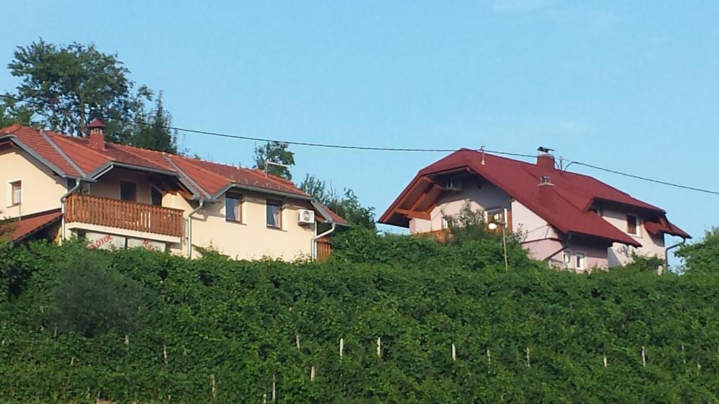 Apartment Hisa Sumrak Bizeljsko Екстериор снимка