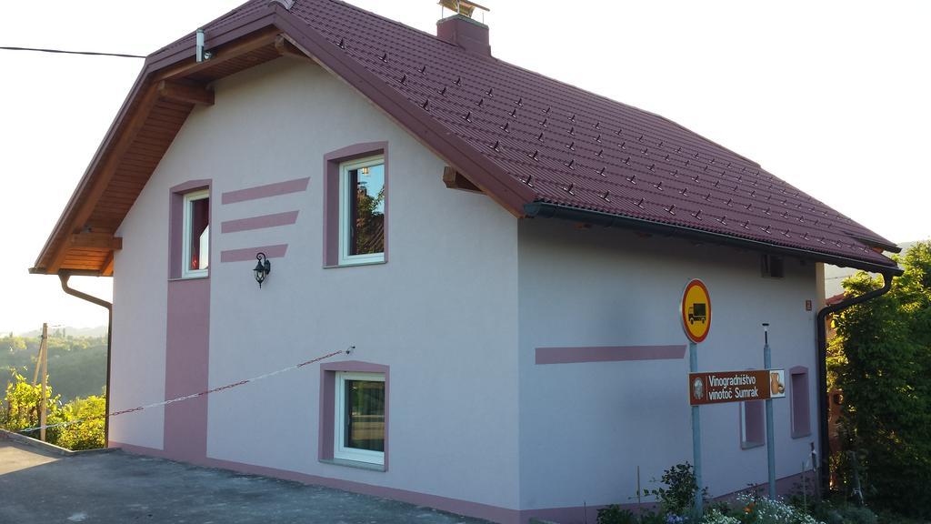 Apartment Hisa Sumrak Bizeljsko Екстериор снимка