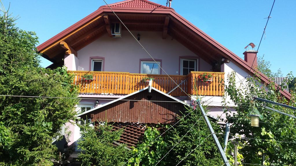 Apartment Hisa Sumrak Bizeljsko Екстериор снимка